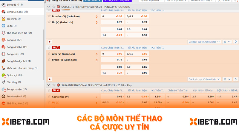 Các bộ môn thể thao cá cược uy tín