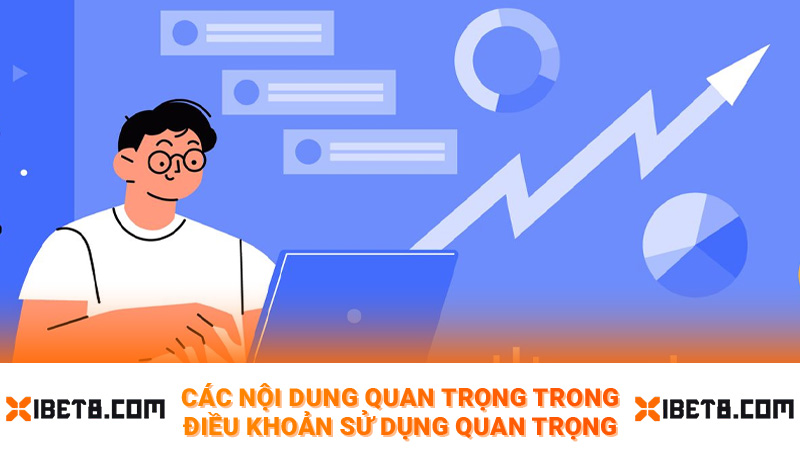 Các nội dung quan trọng trong điều khoản sử dụng quan trọng