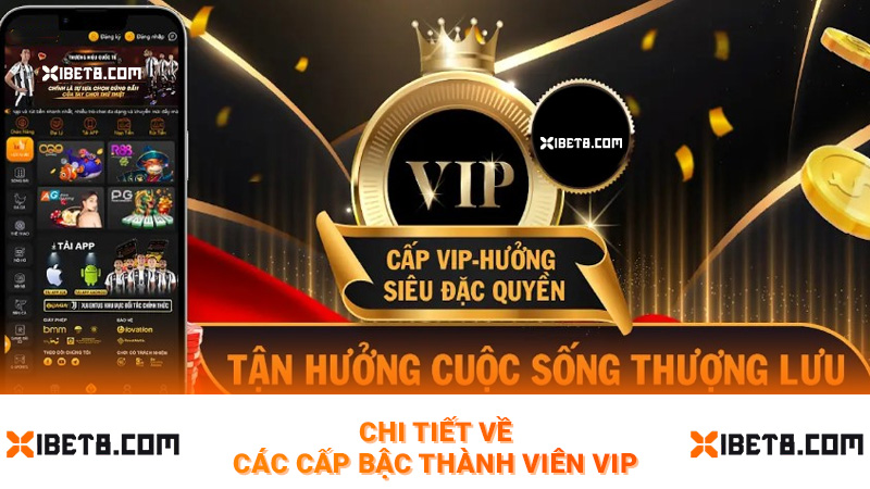 Chi tiết về các cấp bậc thành viên vip