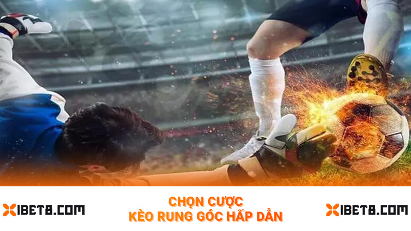 Chọn cược kèo rung góc hấp dẫn