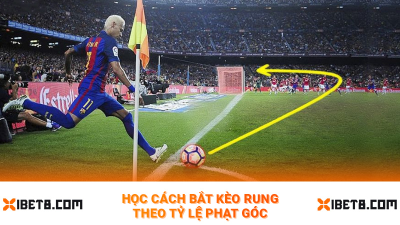 Học cách bắt kèo rung theo tỷ lệ phạt góc
