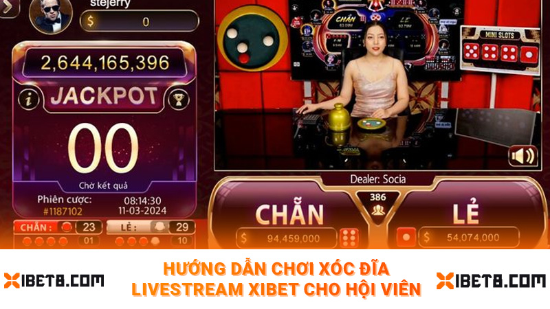 Hướng dẫn chơi xóc đĩa livestream Xibet cho hội viên