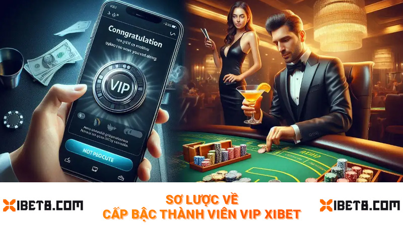 Sơ lược về cấp bậc thành viên vip Xibet