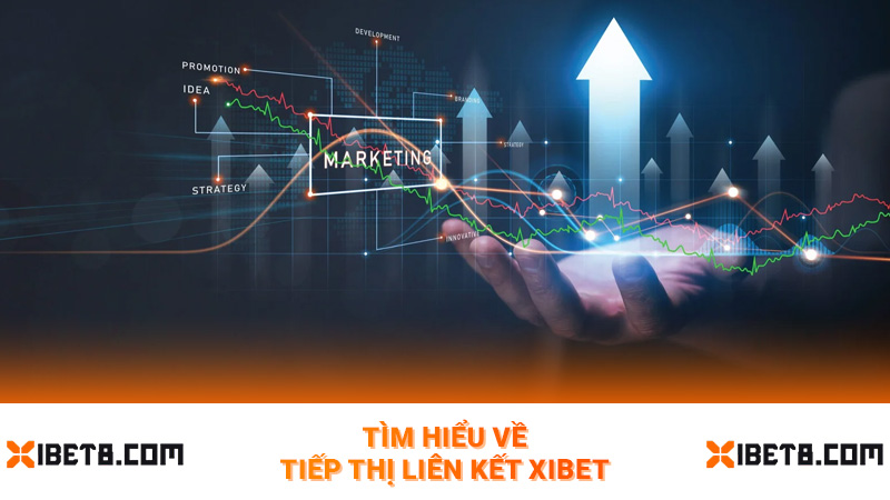Tìm hiểu về tiếp thị liên kết Xibet